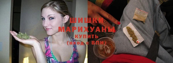 дурь Пересвет