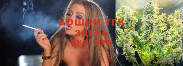 дурь Пересвет